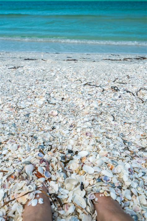 Best Hotels For Shelling On Sanibel Island Why The Worlds Best