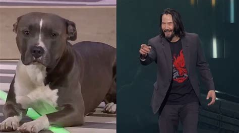 Maybe you would like to learn more about one of these? Keanu Reeves VS. Ubisoft Dog Is The E3 Content We've Been ...