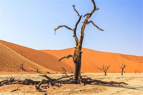 Deadvlei Unique Places Of Namibia Worldatlas
