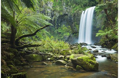 Rainforest Waterfalls Hopetoun Falls Victoria Australia Wall Mural