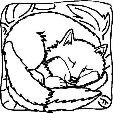 Coloriage Renard qui dort dessin gratuit à imprimer