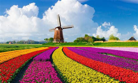 Some 2,500 miles of the netherlands consist of reclaimed land, the result of a process of careful water management. Car Hire Netherlands | DriveAway