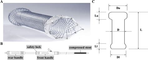 The Nitinol Fully Covered Self Expandable Metal Stents Fcsems The