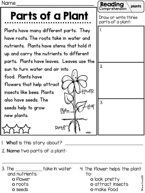 Check spelling or type a new query. Plants Unit Plan for K-1 | Reading comprehension lessons ...