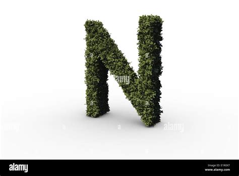 Letter N Made Of Leaves Stock Photo Alamy