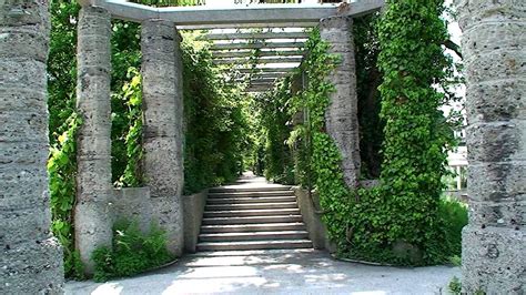 Sie können einfach entspannt durch den park schlendern und verschiedenste pflanzen entdecken. Botanischer Garten München Inspirierend Bonsai Botanischer ...