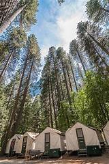 Yosemite National Park Curry Village Reservations Images