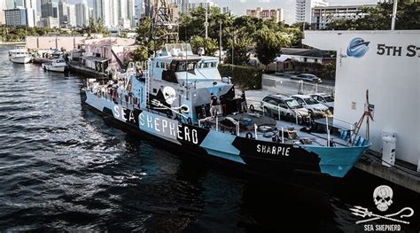 Sea Shepherd Launches New Anti Poaching Vessel Captain Sandy Yawn