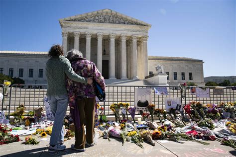 If cardano survives until 2025, it will have to continue providing value and separate itself in an authentic manner. Donations Since Ginsburg's Death Reach $100 Million at ...
