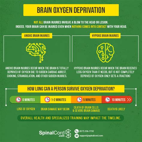 How Long Can The Brain Go Without Oxygen What Happens