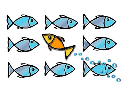 Carne de boi, de peixe ou de frango? Peixe esperto não nada contra a corrente - Casal Cozinha