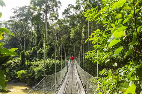 Top Things To Do In Malaysian Borneo