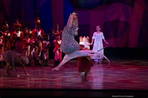 Ballet Arizonas The Nutcracker Phoenix Attractions Review 10best