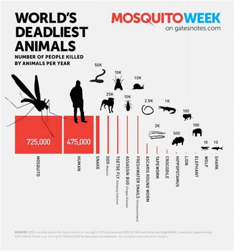 Infographic Worlds Deadliest Animals