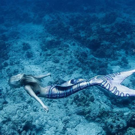 Mermaid Elite On Instagram “refuse To Be Captive Of Your Environment 💦