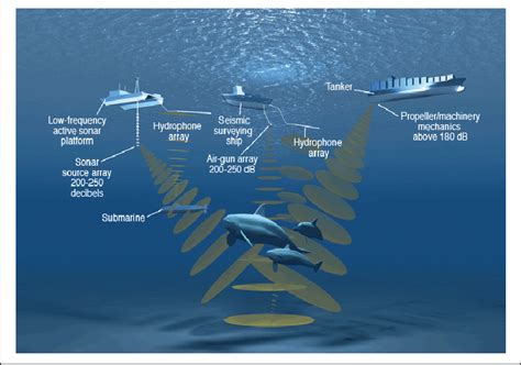 Marine Noise Pollution Image Source Download Scientific Diagram