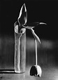 ANDRÉ KERTÉSZ (1894-1985) , Melancholic Tulip, 1939 | Christie's