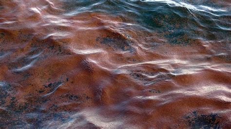 Years After Bp Spill Some Cleanup Workers Still Feel Sting Of Dispersants Flipboard
