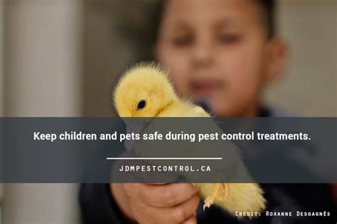 Keeping Children And Pets Safe During Pest Control Pet Safe Pest