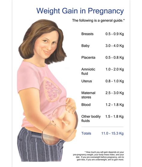 Pregnancy Weight Gain Chart Kg Ubicaciondepersonascdmxgobmx