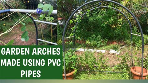 Garden Arc Using Pvc Pipes Creeper Plants Supporteasy Way Of Creating