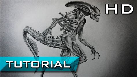 Easy Alien Xenomorph Drawing