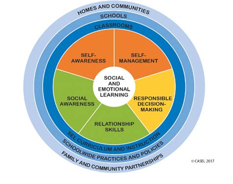 Optimizing Learning By Infusing Sel Global Edtech