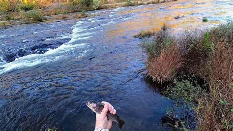 From wikipedia, the free encyclopedia. Beaver Bend State Park and Talimena Scenic Drive - YouTube