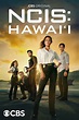 NCIS: Hawai'i Pictures - Rotten Tomatoes
