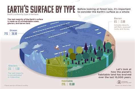 Visualizing The Worlds Loss Of Forests Since The Ice Age