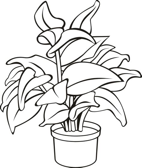 Clip Art Outline Black And White Plants