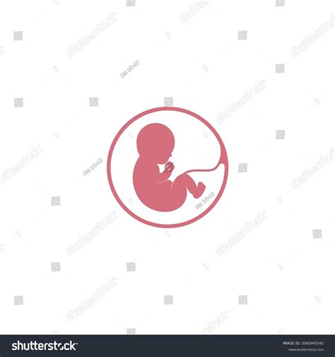 Fetus Icon Vector Illustration Logo Design Stock Vector Royalty Free