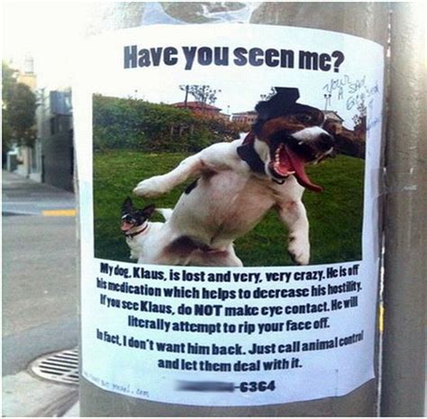 Funniest Lost And Found Pet Signs 12 Pics
