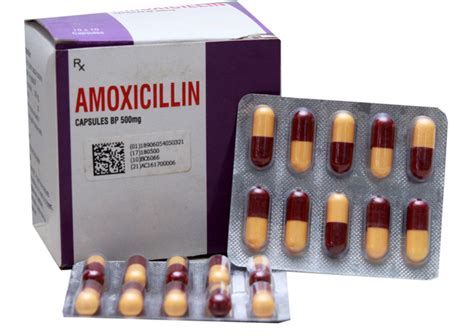 Amoxicillin Công Dụng Và Liều Dùng Hiệu Quả An Toàn