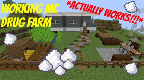 How To Build A Working Drug Farm In Minecraft Youtube