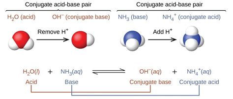 102 Brønsted Lowry Acids And Bases Introductory Chemistry