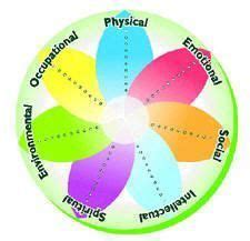 wellness dimensions diagram | Preventative health, Wellness wheel, Wellness coach