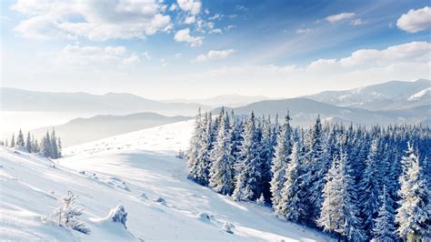 1920x1080 1920x1080 Clouds Trees Snow Coolwallpapersme
