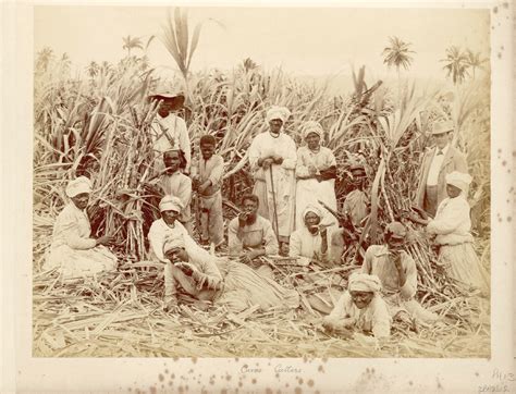 Infanticide As Slave Resistance Evidence From Barbados Jamaica And