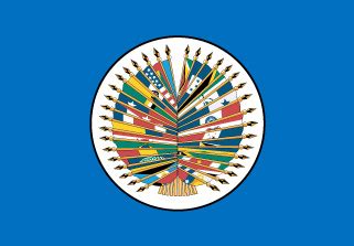 Adrián de la garza acusa a amlo con la oea de intromisión en la elección de nl. Bandera de OEA para exterior - Banderas VDK