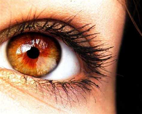 Pin By Suzi Holler On Nano Amber Eyes Color Rare Eye Colors