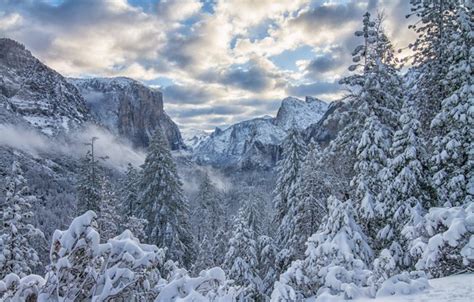 Wallpaper Winter Forest Snow Trees Mountains Ate Ca California