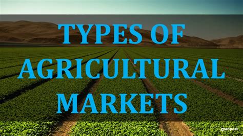 Types Of Agricultural Markets Youtube