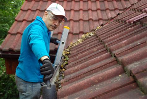 Check spelling or type a new query. Pros And Cons Of DIY Gutter Guards
