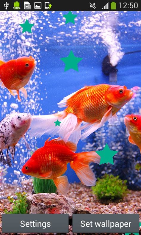 Here is fully 3d fish aquarium representing beautiful fishes roaming around water tank and floating petals and. Aquarium Live Wallpapers