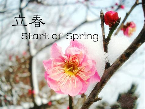 Culture Insider 9 Things You May Not Know About Start Of Spring