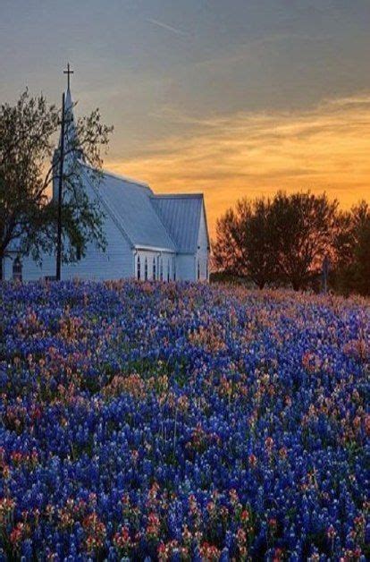 Church By Field Of Purple Flowers Church Steeple Country Church Old