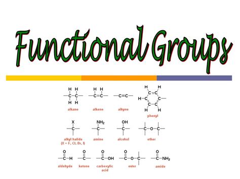 Ppt Functional Groups Powerpoint Presentation Free Download Id2129743