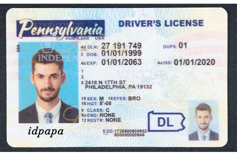 Pennsylvania Driver License Best Scannable Ids Producer Idpapavip