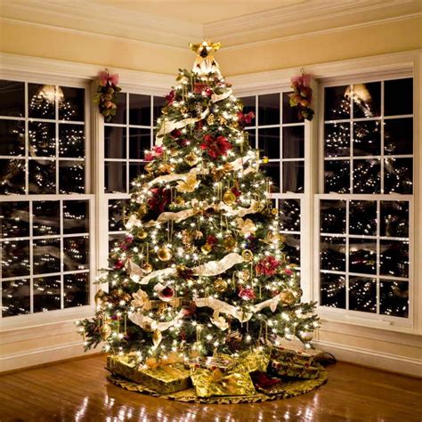 Photography Backdrop Big Christmas Tree Photo Background Sale